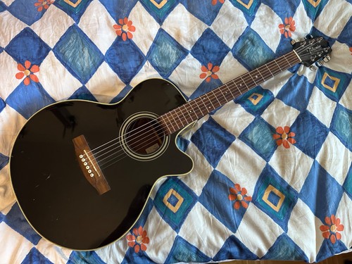 Takamine 260 mit - c,
