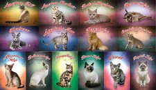 Top-Schilder, versch