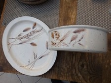 Midwinter Stonehenge-Wild