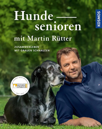 Hundesenioren mit martin - hundesenioren,