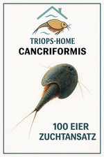 Triops Cancriformis