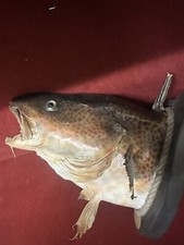 Norwegen - Meeresangeln-Deko 