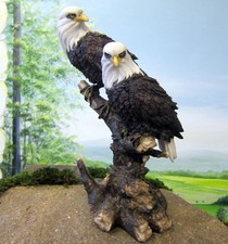 2 Weißkopfseeadler auf