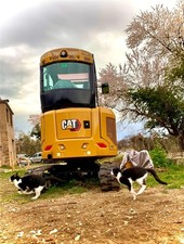 Caterpillar Minibagger 302.7 CR 2,7 to inkl. Zubehör zu verkaufen