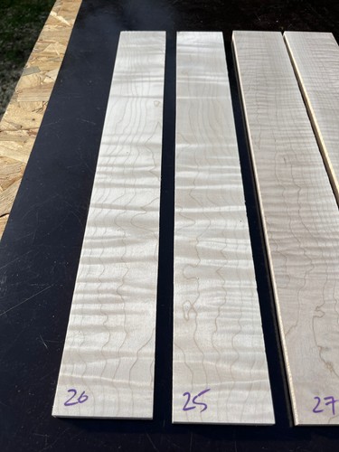 Curly flame maple - flame, e