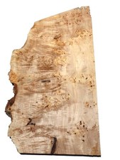 1x Pappel Maser Holz