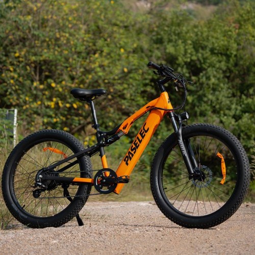 Paselec gs9 elektrofahrrad - paselec,