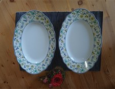 2x Fleischplatte oval TCM