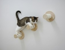 Lottchen Trittstufe Echtholz