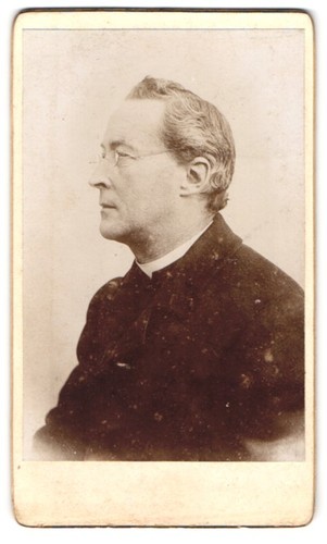 Fotografie portrait älterer - fotografie,