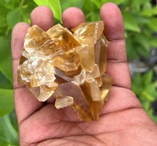 Honigcalcit Mineralienprobe