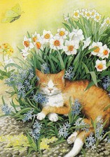 Postkarte: Löök - Katze in