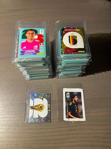 Panini 2026 sticker - panini,