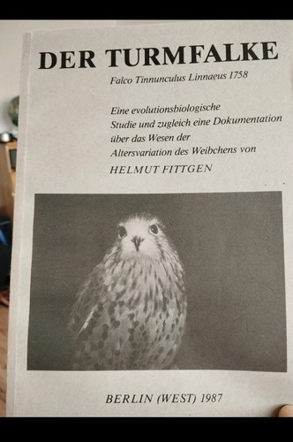 Der turmfalke - der, turmfalke.