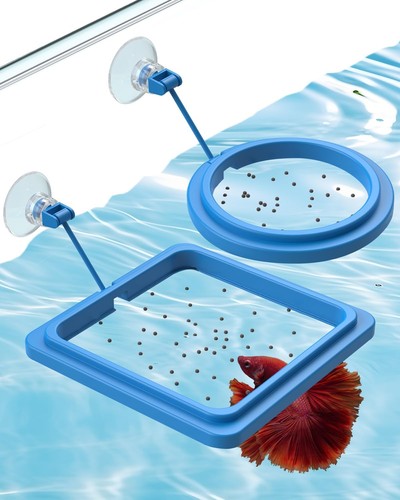 Pawfly stück aquarium - 2,