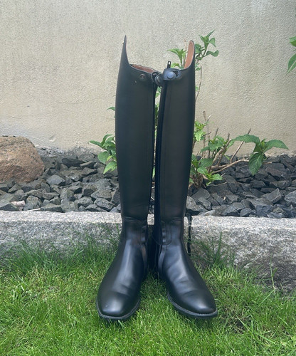 Petrie padova reitstiefel - petrie,