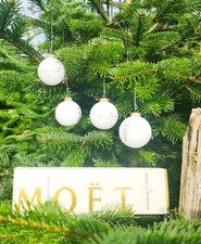 Moet & Chandon Champagne 4