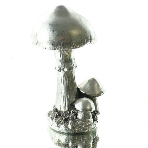 Exotica cor mulder - cor, pilz