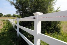 Koppelzaun - Pferdezaun -