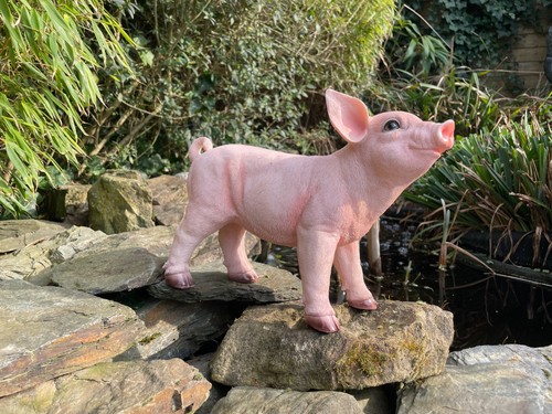 Schwein deko hausschwein - schwein,