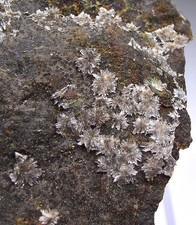 GIPS Rosetten Steinbruch