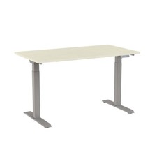 Schreibtisch elektrisch höhenverstellbar Memory Gestell silber sehr leise USB