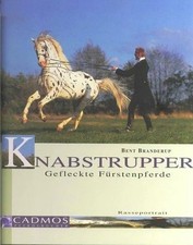 Knabstrupper gefleckte - knabstrupper.,