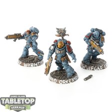 Space Wolves - 3 Intercessors