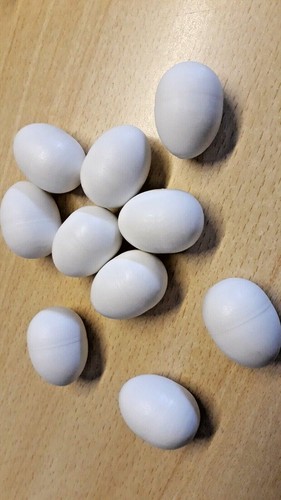 Nesteier taube großsittich - nesteier,