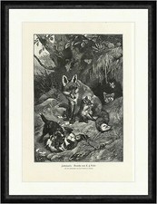 Fuchsfamilie. Gemälde von C