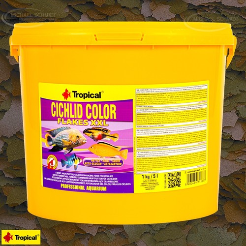 Tropical cichlid color - cichlid, xxl