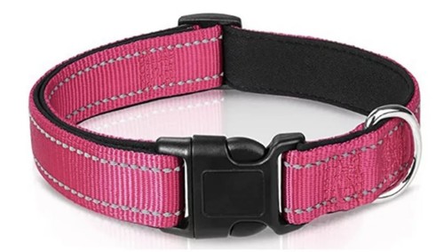 Hundehalsband größe l - hundehalsband,,