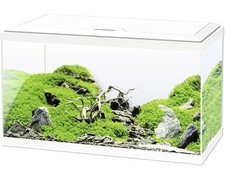 Aquarium Set Ciano inkl. Abdeckung LED Beleuchtung Filtersystem inklusive Umwälz