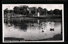 Ansichtskarte Großenbrode /Ostholstein, Dorfpartie mit See 