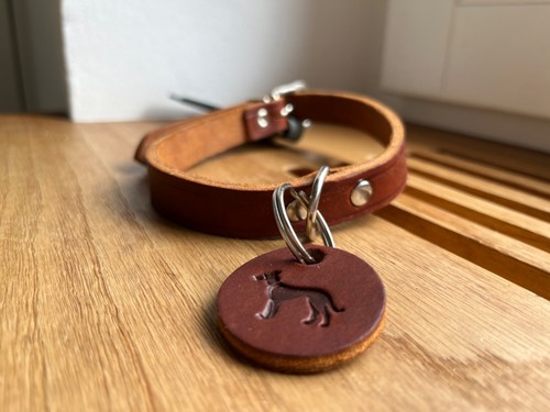 Hundehalsband leder hunter - hundehalsband,