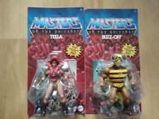 Masters the universe - the,