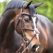 % Kavalkade Trense Proline