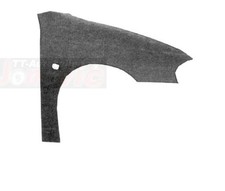 Hartsant Kotflügel rechts