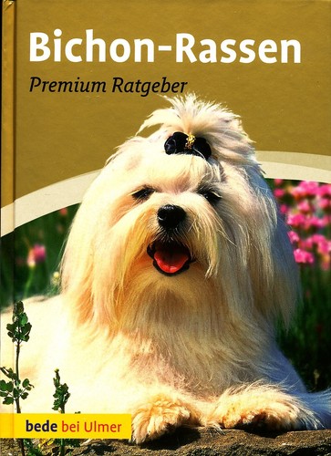 Bichon rassen premium - rassen,