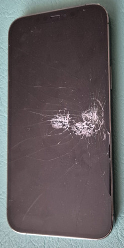 Iphone pro max 256gb - pro,