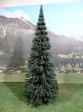 Spur G Bäume Tanne Baum ca