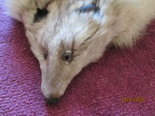 hellgrauer Schal aus echtem