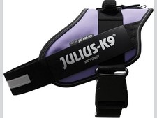 Julius-K9