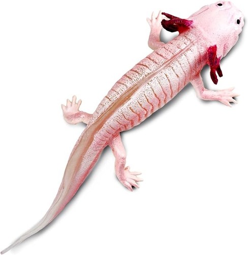 Axolotl 104650 figur safari - 104650,