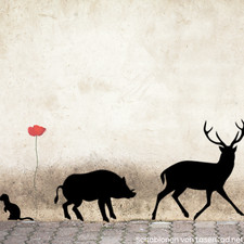 Schablonen Waldtiere Europa