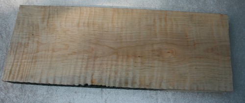 Kanada ahorn maple tiger - kanada,