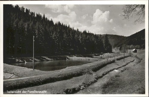 Altensteig schwarzwald - altensteig,