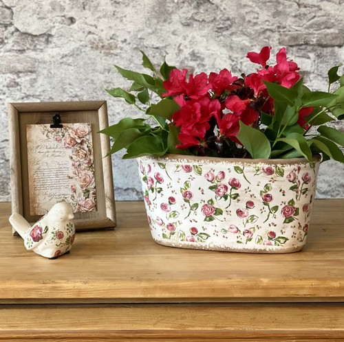 Pflanzschale blumenschale - pflanzschale,