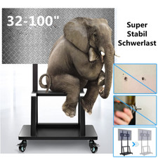 32–100" TV Ständer Rollen
