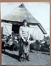 E286 ROY BLACK  Grün ist die